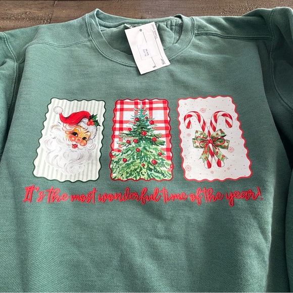 Comfort Colors Sage Sweatshirt - Picture 2 of 4